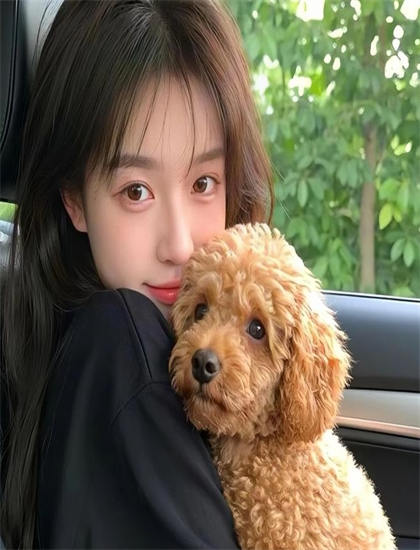 点击破亿：《每晚敞开的夫人的双腿》动作设计解析大师级的：打斗场面与动作编排分析